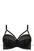 Padded bra model 71359